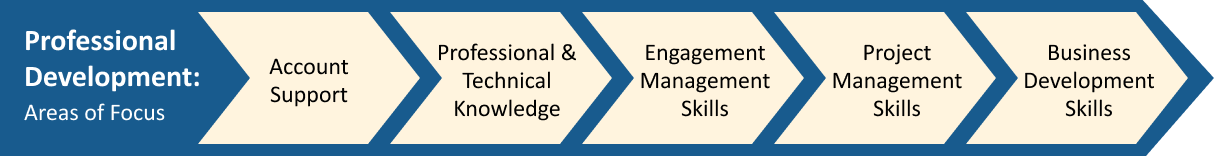 A blue and beige infographic illustrates professional development areas of focus: Engagement Management Skills, Project Management Skills, and Business Development Skills.